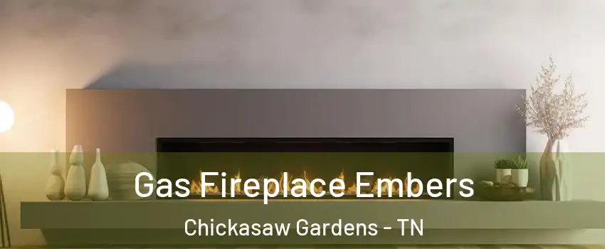 Gas Fireplace Embers Chickasaw Gardens - TN