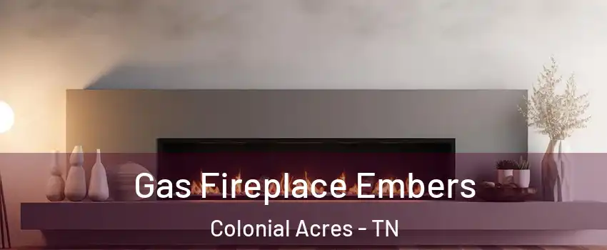 Gas Fireplace Embers Colonial Acres - TN