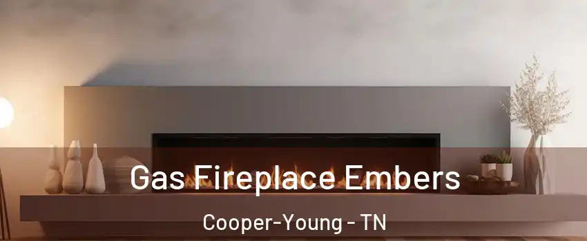 Gas Fireplace Embers Cooper-Young - TN