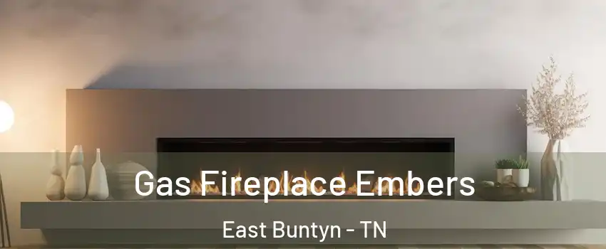 Gas Fireplace Embers East Buntyn - TN