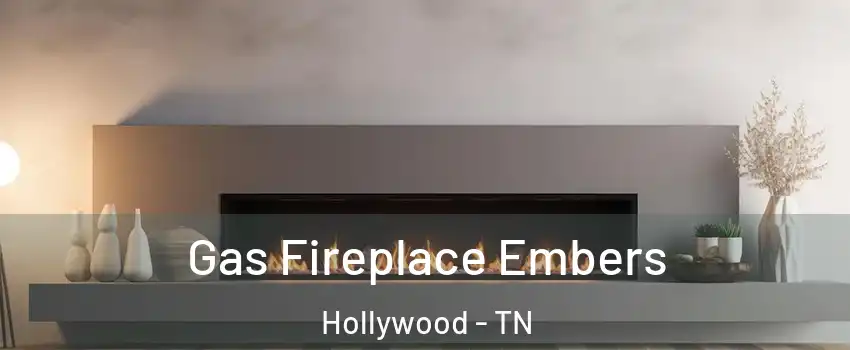 Gas Fireplace Embers Hollywood - TN