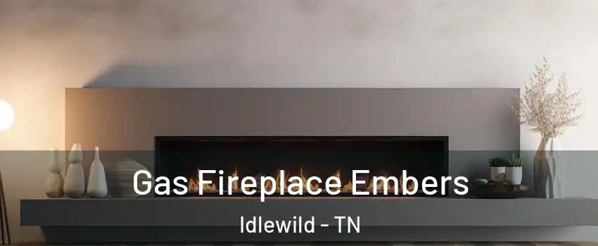 Gas Fireplace Embers Idlewild - TN