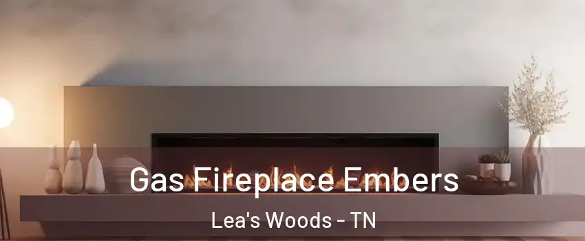 Gas Fireplace Embers Lea's Woods - TN