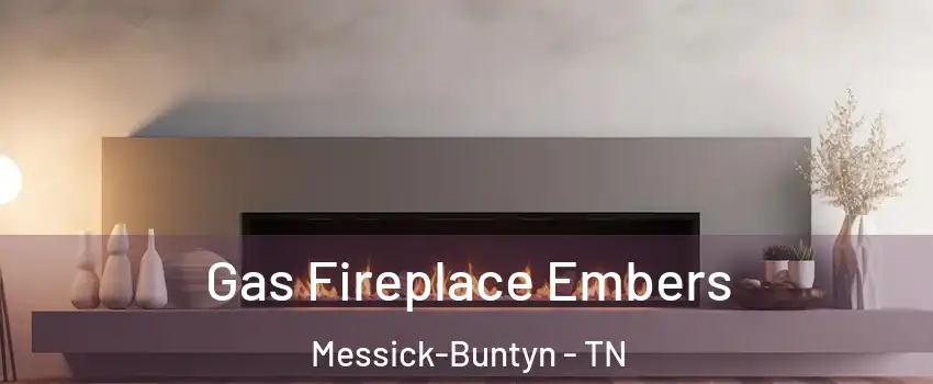 Gas Fireplace Embers Messick-Buntyn - TN