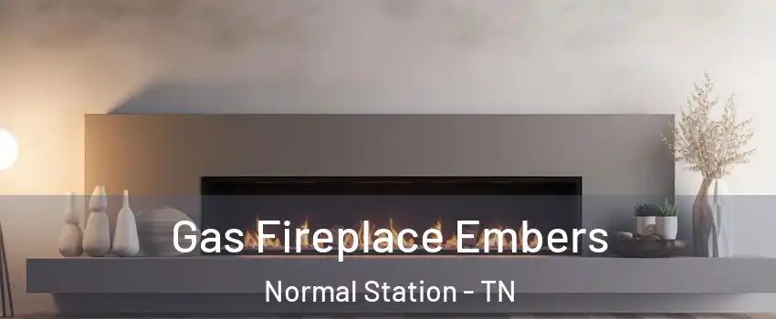 Gas Fireplace Embers Normal Station - TN