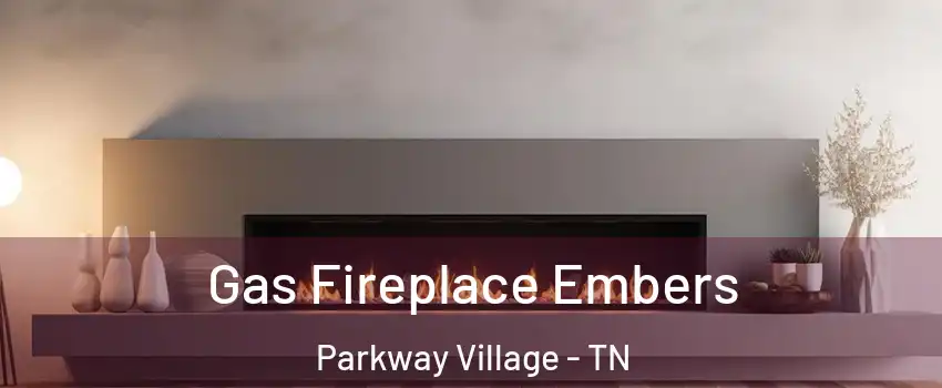 Gas Fireplace Embers Parkway Village - TN