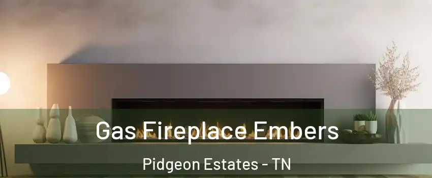 Gas Fireplace Embers Pidgeon Estates - TN