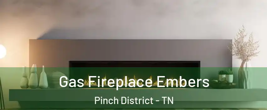 Gas Fireplace Embers Pinch District - TN