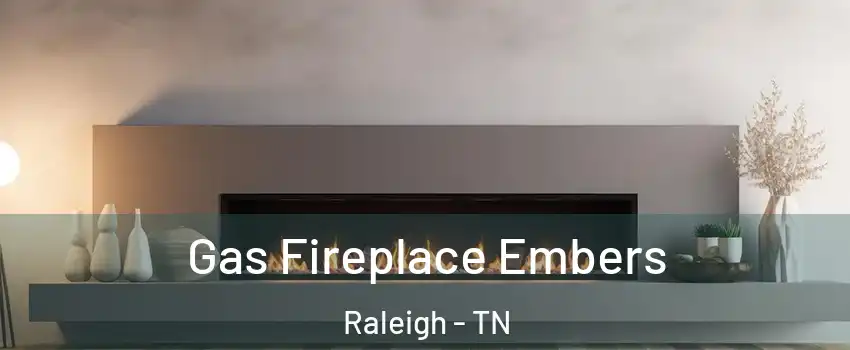 Gas Fireplace Embers Raleigh - TN