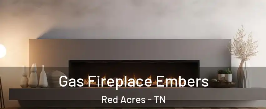 Gas Fireplace Embers Red Acres - TN