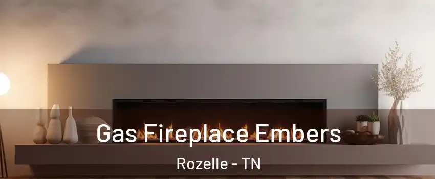 Gas Fireplace Embers Rozelle - TN