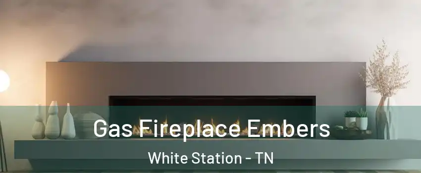 Gas Fireplace Embers White Station - TN