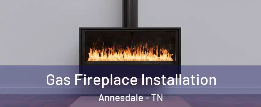 Gas Fireplace Installation Annesdale - TN