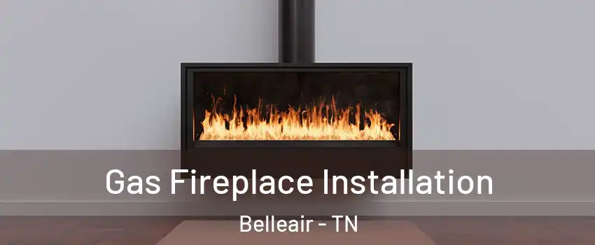 Gas Fireplace Installation Belleair - TN