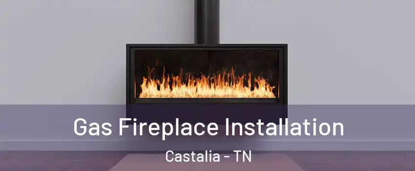 Gas Fireplace Installation Castalia - TN