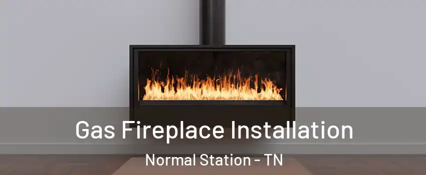 Gas Fireplace Installation Normal Station - TN