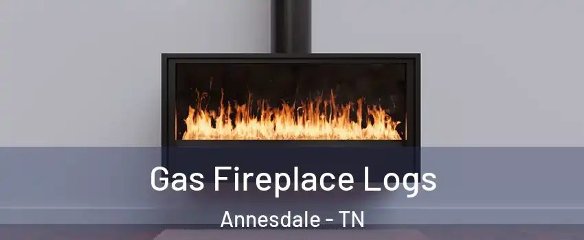 Gas Fireplace Logs Annesdale - TN