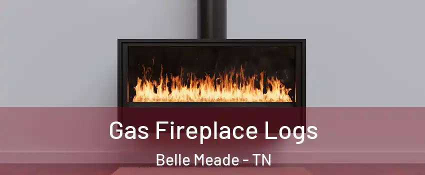 Gas Fireplace Logs Belle Meade - TN