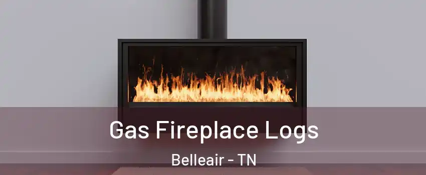 Gas Fireplace Logs Belleair - TN