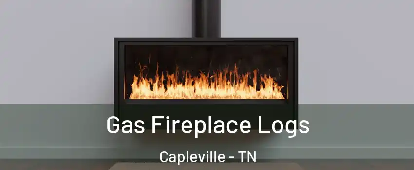 Gas Fireplace Logs Capleville - TN