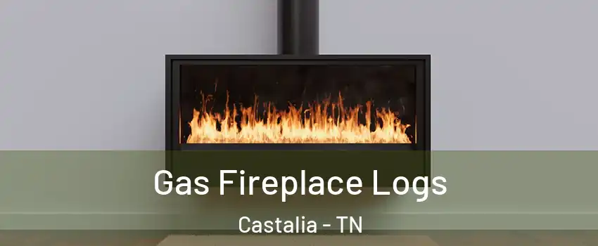 Gas Fireplace Logs Castalia - TN