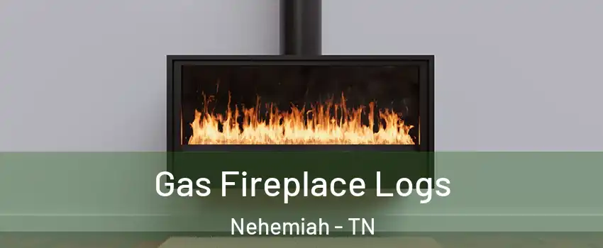 Gas Fireplace Logs Nehemiah - TN