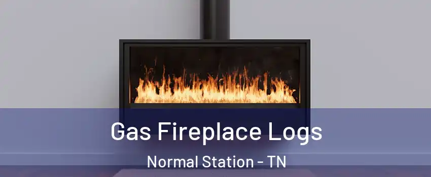 Gas Fireplace Logs Normal Station - TN