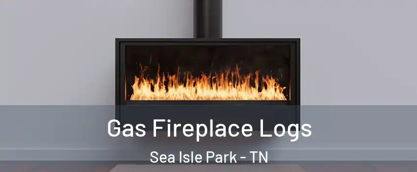 Gas Fireplace Logs Sea Isle Park - TN