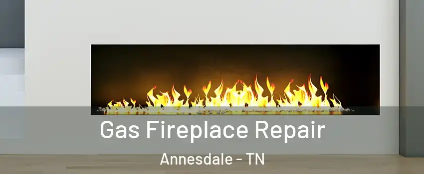 Gas Fireplace Repair Annesdale - TN