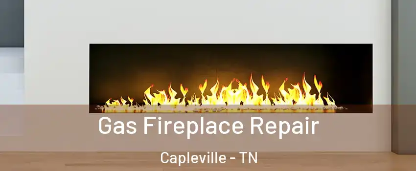 Gas Fireplace Repair Capleville - TN