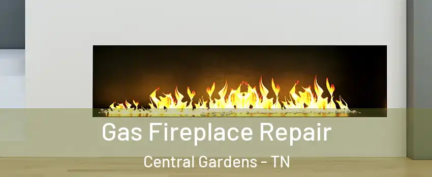 Gas Fireplace Repair Central Gardens - TN