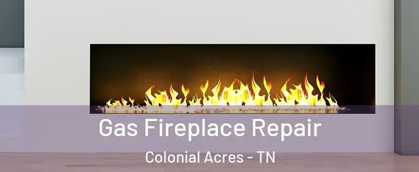 Gas Fireplace Repair Colonial Acres - TN