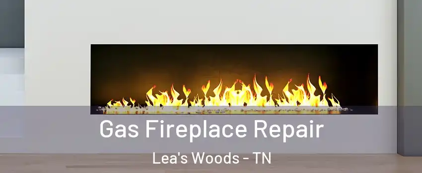 Gas Fireplace Repair Lea's Woods - TN