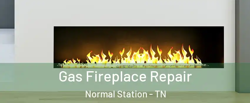 Gas Fireplace Repair Normal Station - TN