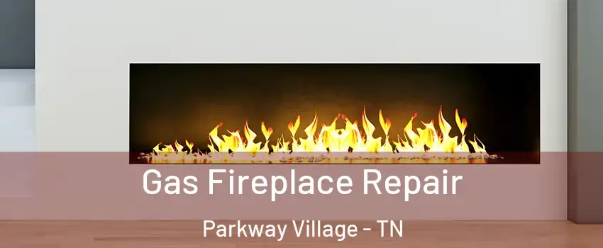 Gas Fireplace Repair Parkway Village - TN