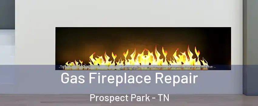 Gas Fireplace Repair Prospect Park - TN