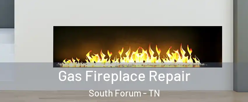 Gas Fireplace Repair South Forum - TN