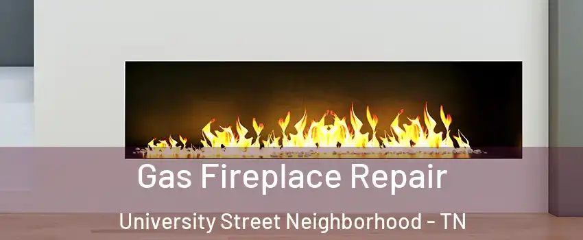 Gas Fireplace Repair University Street Neighborhood - TN