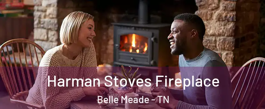 Harman Stoves Fireplace Belle Meade - TN