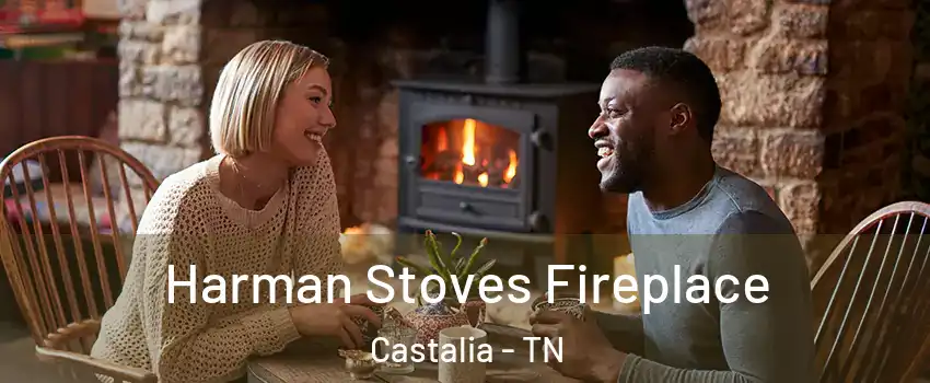 Harman Stoves Fireplace Castalia - TN