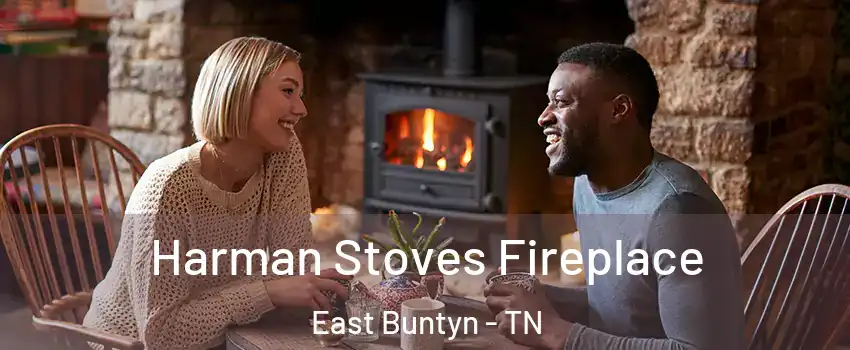 Harman Stoves Fireplace East Buntyn - TN