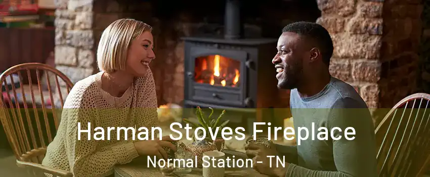 Harman Stoves Fireplace Normal Station - TN