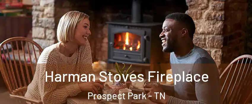 Harman Stoves Fireplace Prospect Park - TN