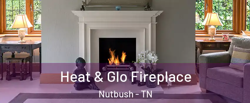 Heat & Glo Fireplace Nutbush - TN