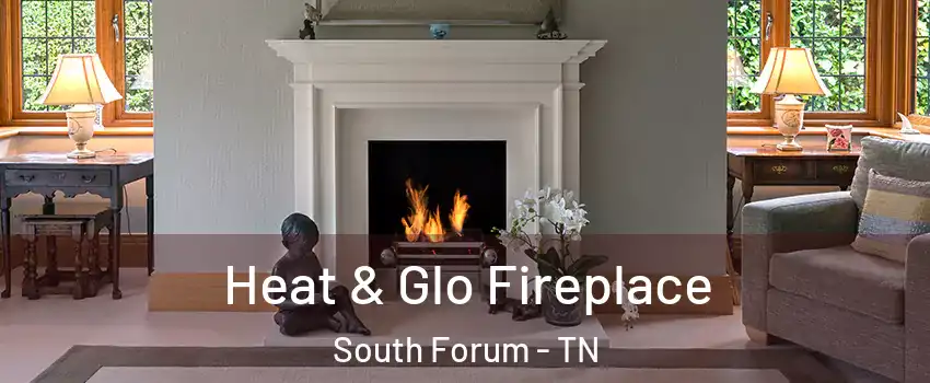 Heat & Glo Fireplace South Forum - TN