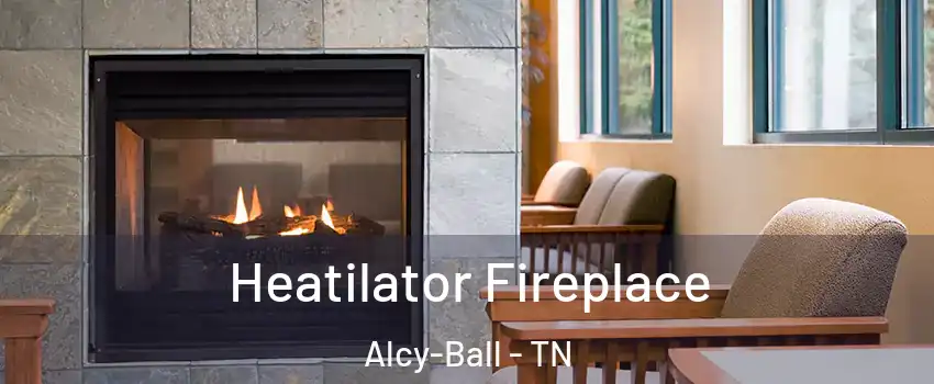 Heatilator Fireplace Alcy-Ball - TN