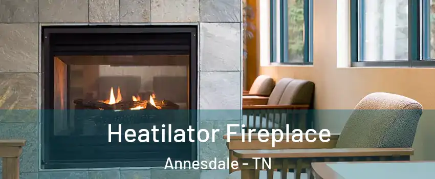 Heatilator Fireplace Annesdale - TN