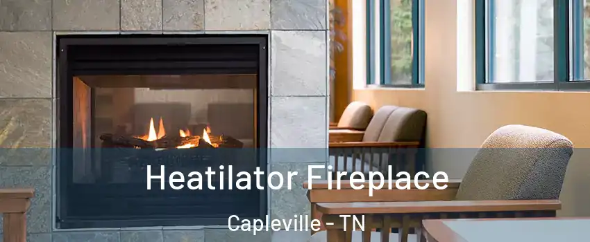 Heatilator Fireplace Capleville - TN