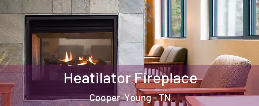 Heatilator Fireplace Cooper-Young - TN