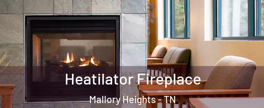 Heatilator Fireplace Mallory Heights - TN